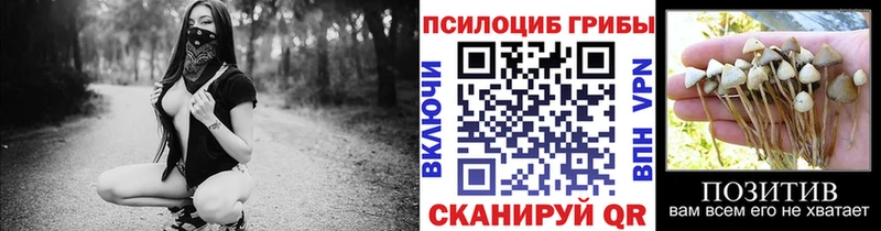 где купить   Удачный  Галлюциногенные грибы GOLDEN TEACHER 